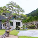 벽소령 펜션 이미지