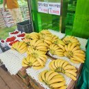 GS25 첨단월계점 | 광주 첨단 로컬푸드 노마진M 가성비 과일야채 장보기