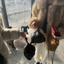 옥산 백송짜글짜글 후기 : 청주 짜글이 맛집