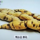 (주)내츄럴엔도텍