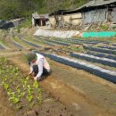 정상농장 이미지