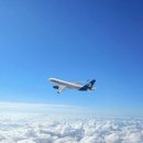 패스트트랙기업회생연구소 | 파라타항공 취항 노선 기내식 비즈니스 스마트석 결항 논란부터 삿포로 하노이 신규 취항까지
