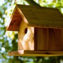 송원초등학교 이미지