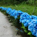 지탄목장 이미지