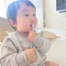 소망아기어린이집 | 아기 첫 치약 언제부터? 블랑키즐 돌아기 고불소치약 6개월 사용후기
