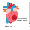 팜 (palm) 이미지