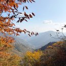 세종 고운 태권도 이미지