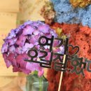 탐라푸드 이미지