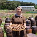 나경버섯농가 이미지