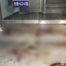 길음역 이미지