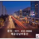 가나공인중개사사무소 | 배곧상가 구하려다 만난 배곧강남공인중개사사무소 솔직 후기