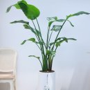 마음평온정신건강의학과의원 이미지