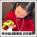앵무새동물원 | 부산실내동물원 앵무새분양도가능한 리프패럿