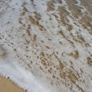 부자양봉원 이미지