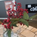 커피아사cafeAsa 이미지