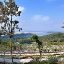 화개달빛정원 이미지