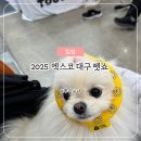 2025 대구 펫쇼 | 엑스코 22회 대구펫쇼 첫날 후기