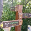 대불공원 우측 이미지