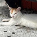 이산부인과의원 이미지