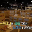 손청과 이미지