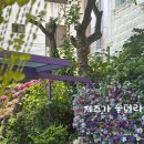 윤재커피