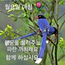 영아트 - 안산시 단원구 선삼로 14 | 영아트