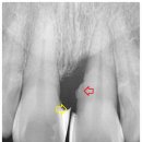 서울동서남북치과의원 이미지