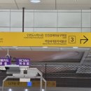 인천 송도 주말 나들이 추천! 국립세계문자박물관 기획전시 <글씨상점> 무료 관람 및 주차, 이색 체험 정보