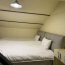 하이몽 | 하이몽 애견 키즈 풀빌라 글램핑 후기 (운동장 + 수영장)