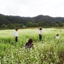 신석농장 이미지