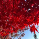 진중1리 이미지