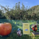 창꼬 더 카페 이미지