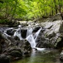 산골산내음 이미지