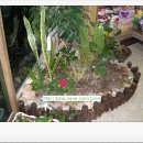 정화 뜨개방 이미지