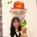 제주 애견 아가야 이미지