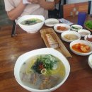 강아지와 함께 제주도로 떠나는 여행_(여행기 DAY1)