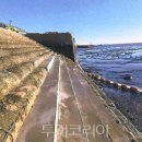 서해유지