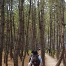 맨발로힐링 퐝퐝 이미지