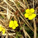 리버빌펜션 이미지