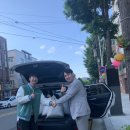 플롱 이미지