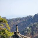 팔당불오징어 네이버블로그