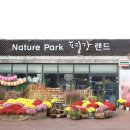산정랜드 이미지