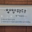 양양하다 양양읍 직영점 이미지