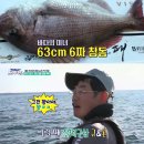 도시어부 이미지