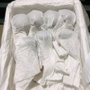 한국의 산삼과 상황버섯 이미지