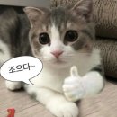 주안코인 노래연습장 이미지