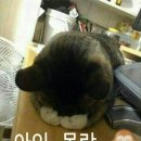 모텔짝짝 이미지