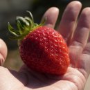 장희농장 이미지