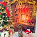 아띠라미 이미지