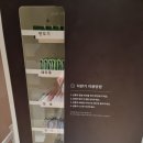 안면도 아일랜드 리솜 조식 더테이블, 스파 오아식스 선셋스파 후기